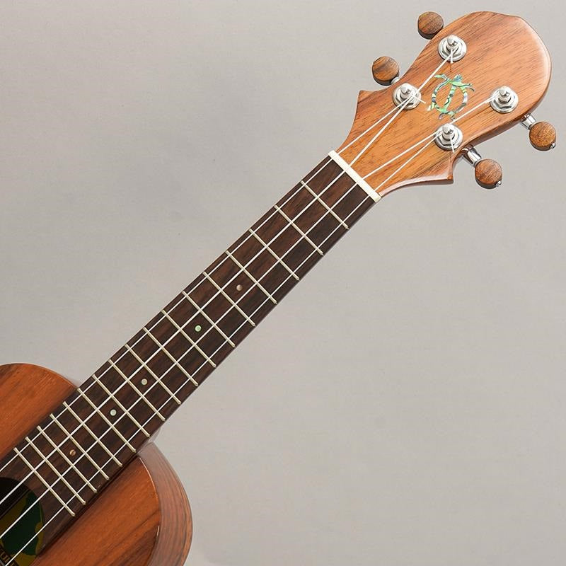 KT-SPS_Big_Island_09