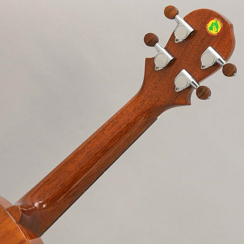 KT-SPS_Big_Island_10