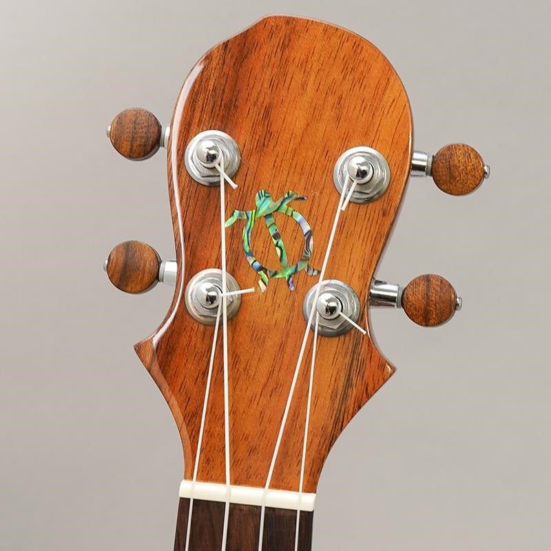 KT-SPS_Big_Island_11