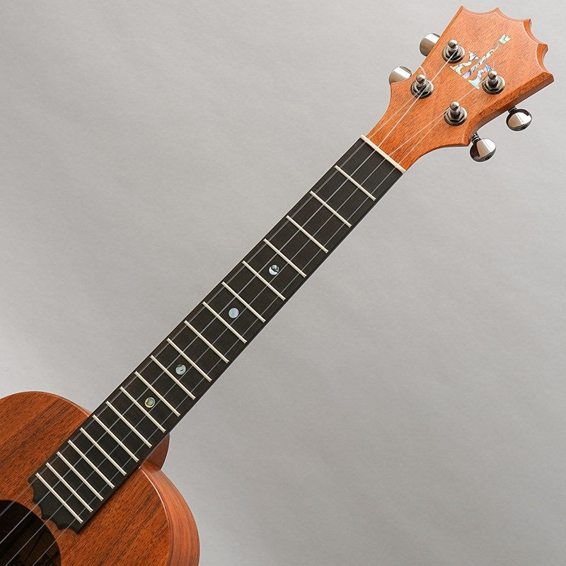 KTM-10_Tenor_Pikake_Koaloha_09