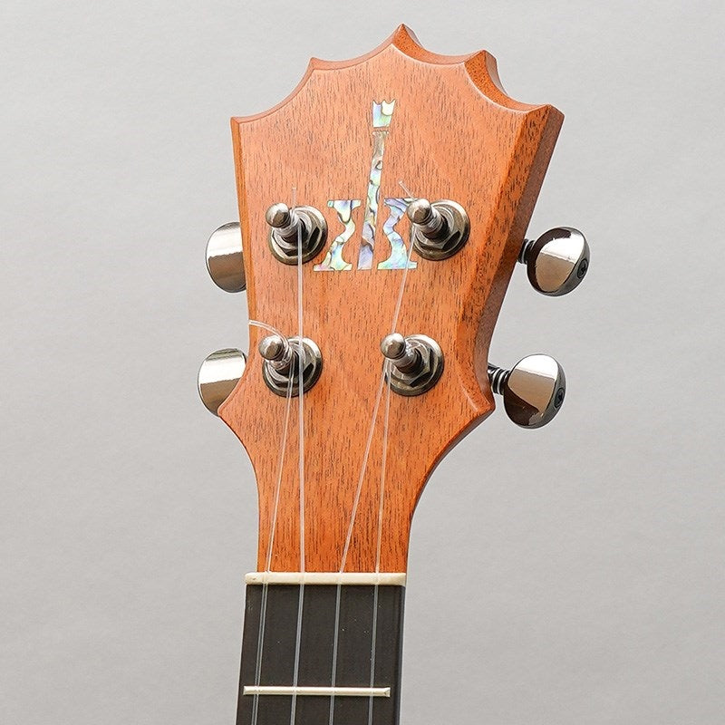 KTM-10_Tenor_Pikake_Koaloha_11