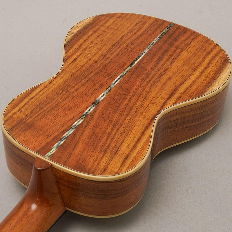 KX-CTG_Big_Island_06