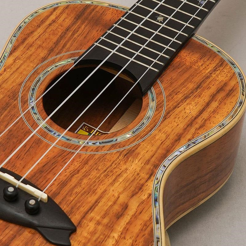 KX-CTG_Big_Island_07