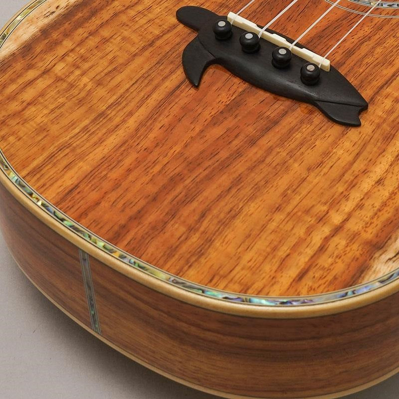 KX-CTG_Big_Island_08