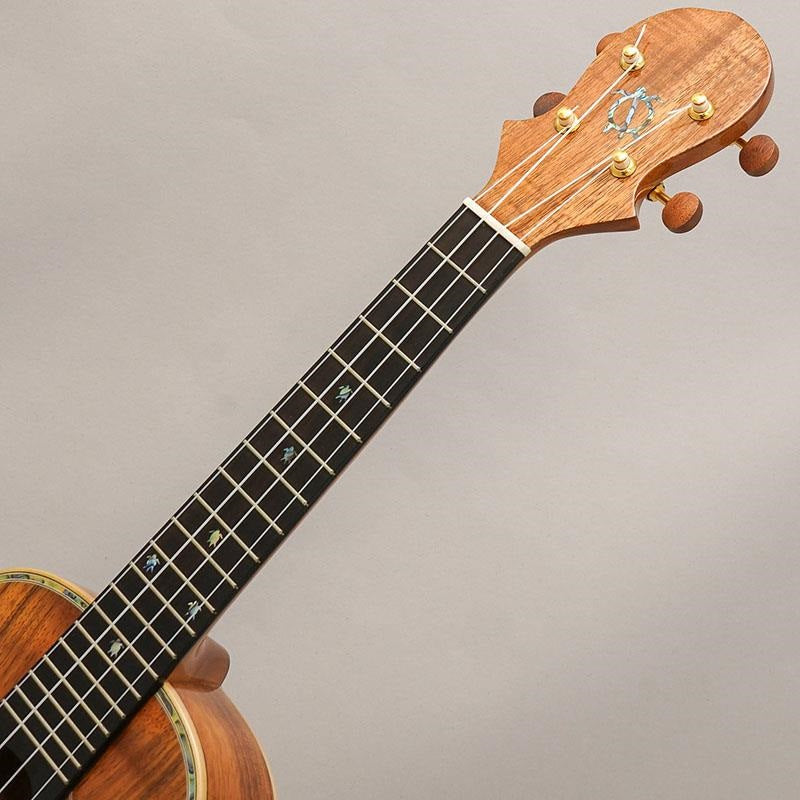 KX-CTG_Big_Island_09