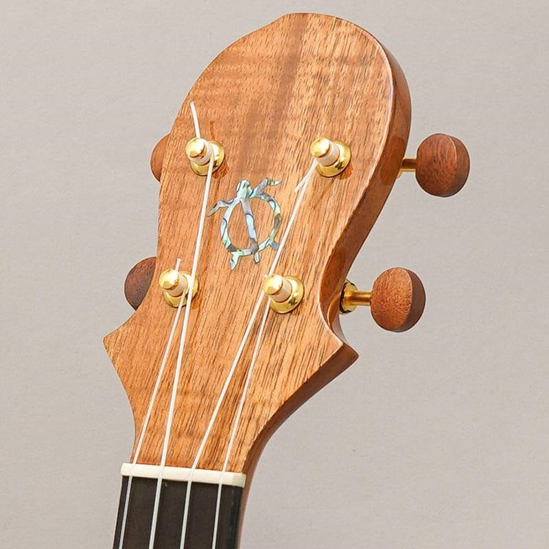 KX-CTG_Big_Island_11