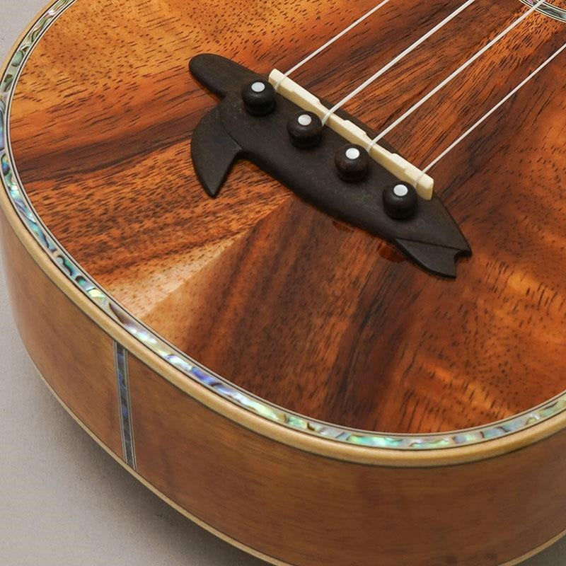 KX-SPG_Big_Island_08