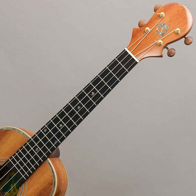 KX-TRG_KX_Koa_Tenor_Big_Island_09