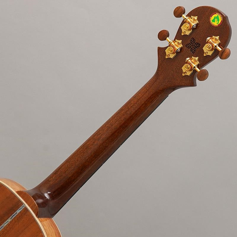 KX-TRG_KX_Koa_Tenor_Big_Island_10