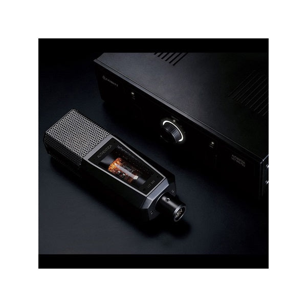 LCT_840_(Luiit)_Microphone_02