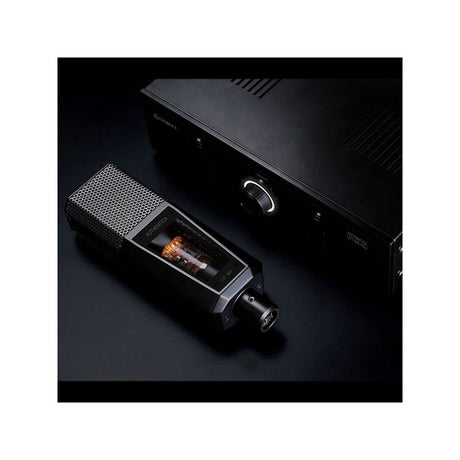 LCT_840_(Luiit)_Microphone_02