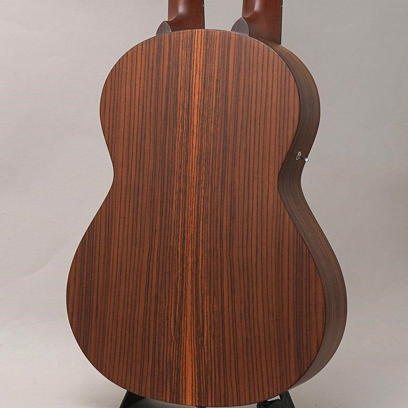 LTD_WX-22E_Custom_ANV_K_Yairi_02