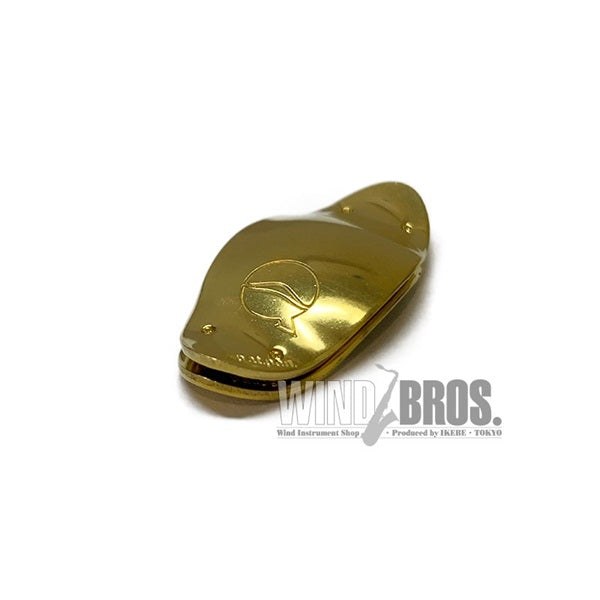 Leaf_Rec_Brass_33mm_01