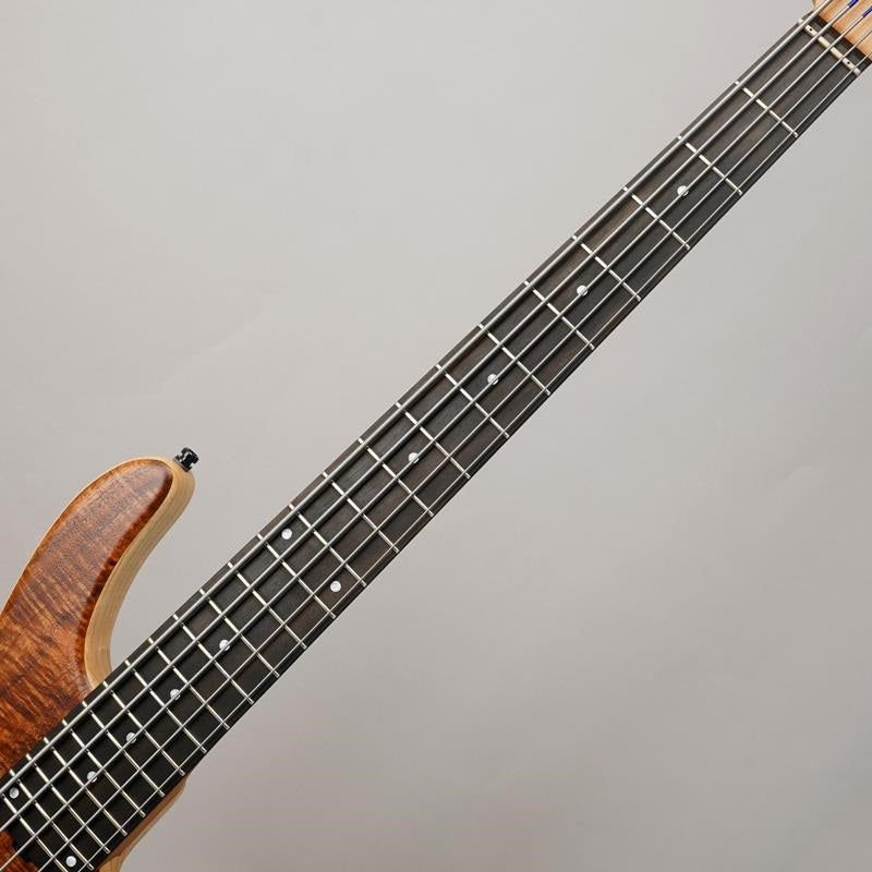 Limited_Edition_MetroLine_24-Fret_Modern_Bass_5st_(AAA_Koa_Top)_#038_05