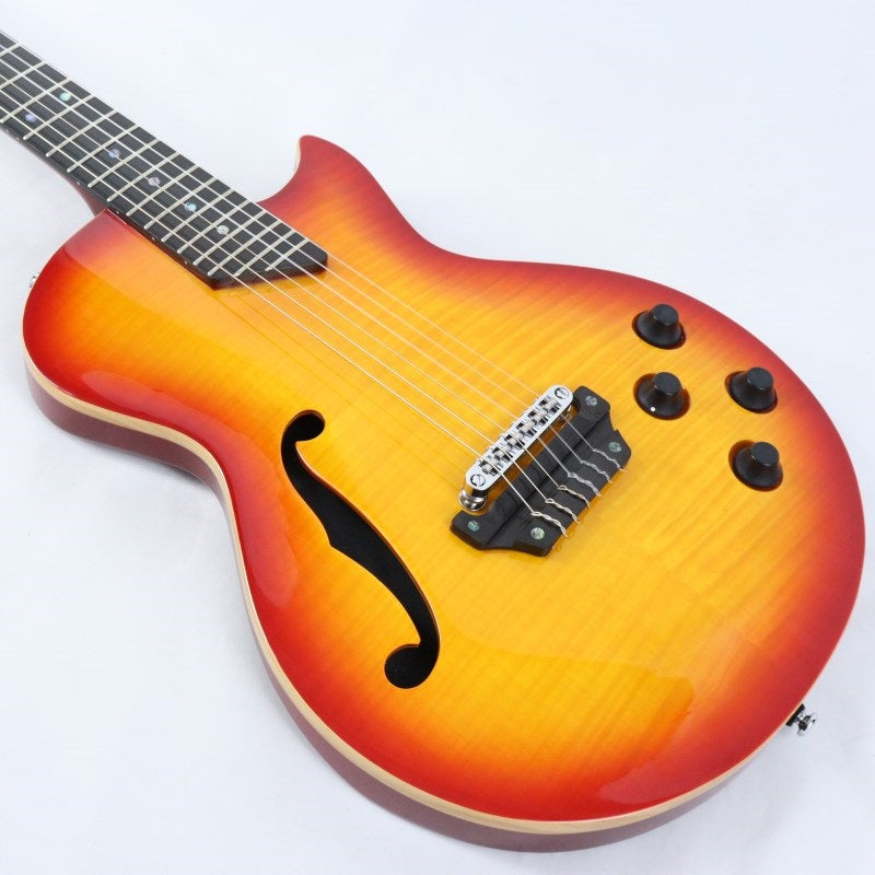 MM_Produce_SE-01_F_(CS)_MD_Guitars_09