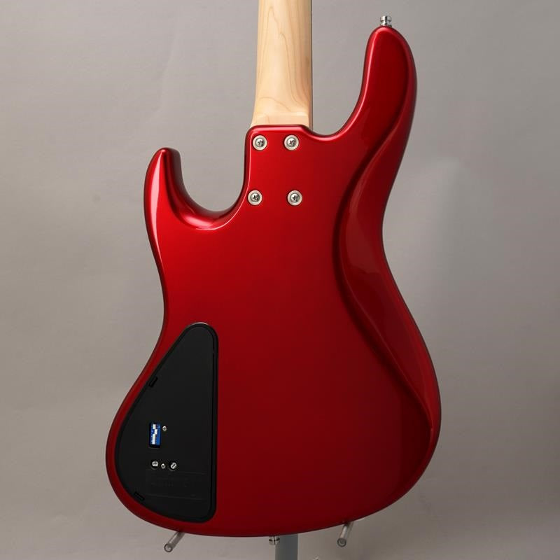 MetroLine_22-Fret_Will_Lee_Alder_4st_(CAR)_03