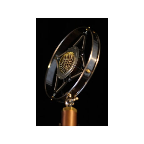 Myrtle_(ear_trumpet)_04