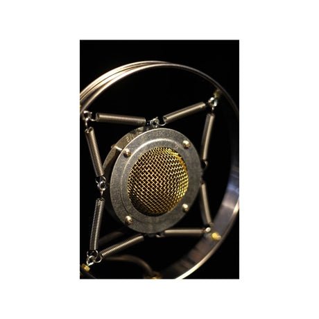 Myrtle_(ear_trumpet)_05