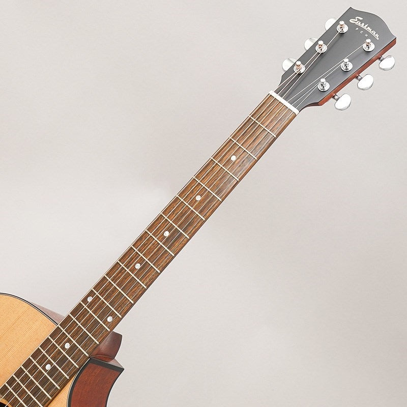 PCH1-GACE_Eastman_08