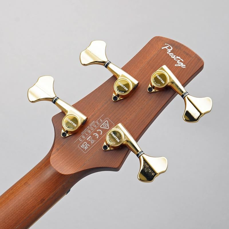 Prestige_SR4500-DST_08