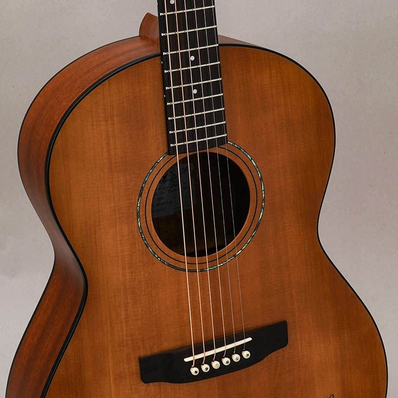 RF-65_Lite_K_Yairi_07