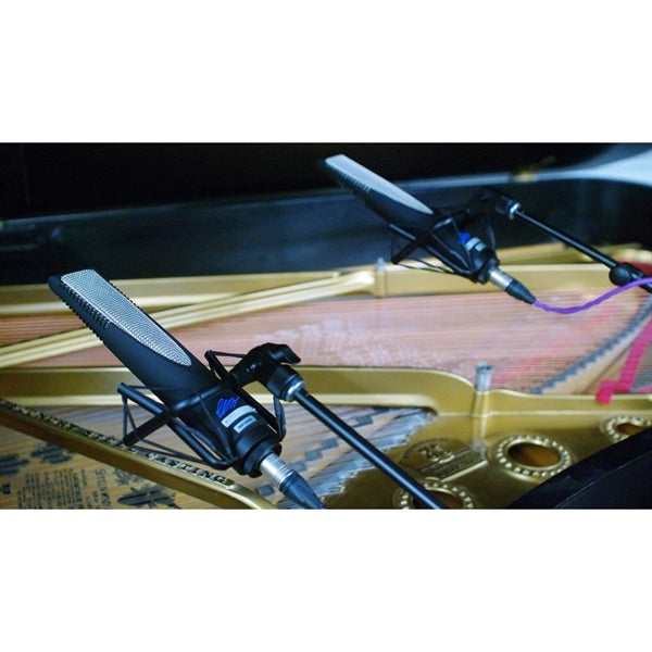 RNR1_Rupert_Neve_Designed_Ribbon_Microphone_(Backorder_Item)_10