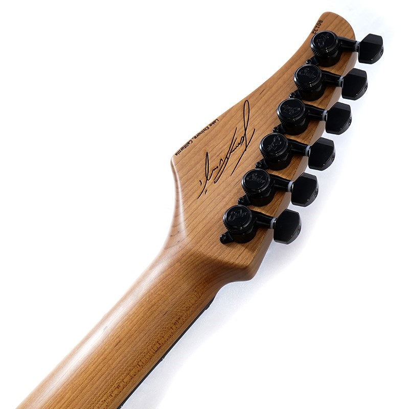 Signature_Series_James_Norbert_Ivanyi_Signature_Modern_SN__80132_10