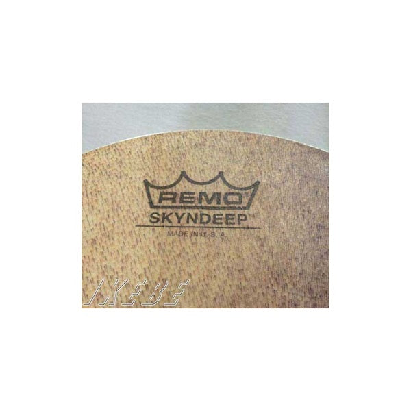 UL0110BT013_REMO_Pandeiro_Head_10_02