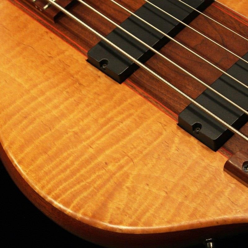 USED_6-string_Bass_with_Adjustable_Wood_Bridge_'97_04