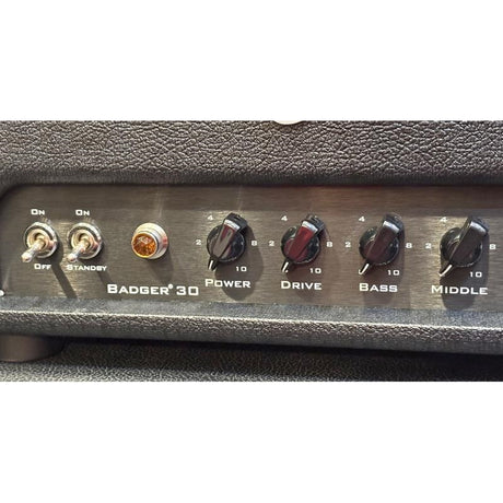 USED_Badger_30_B_+_1x12_Cab_w_Veteran_30_03