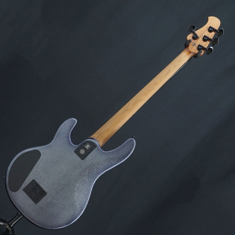 USED_DarkRay_4_(Starry_Night)_'23_04