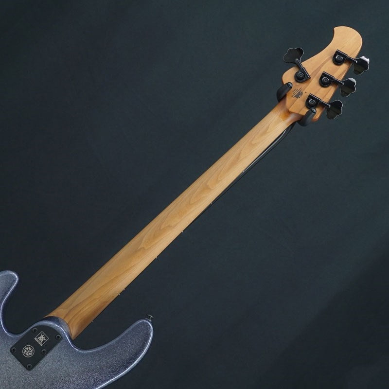 USED_DarkRay_4_(Starry_Night)_'23_06