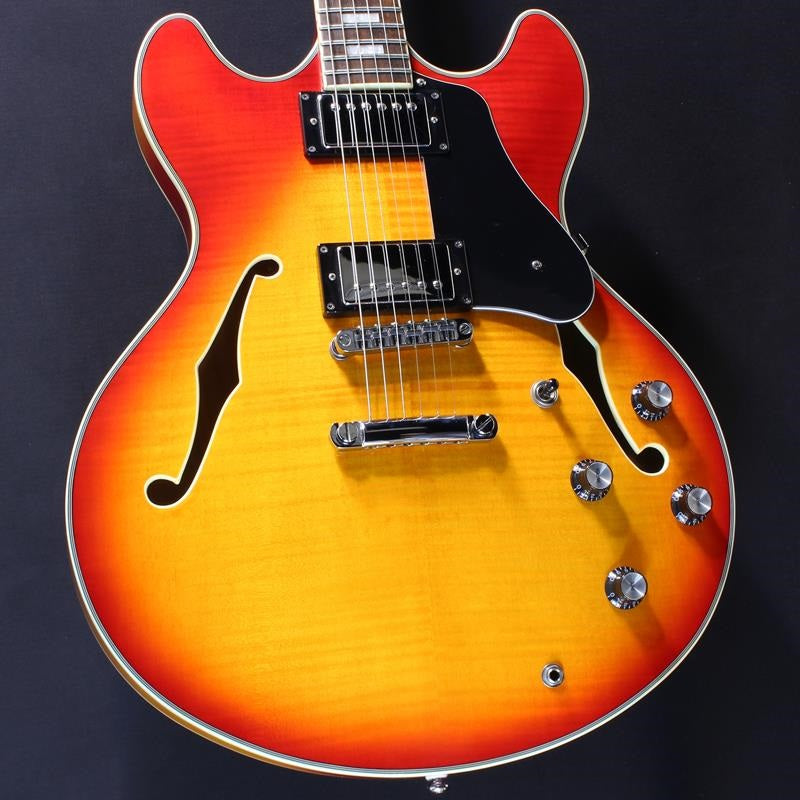 USED_H7_(Cherry_Sunbristled)_01