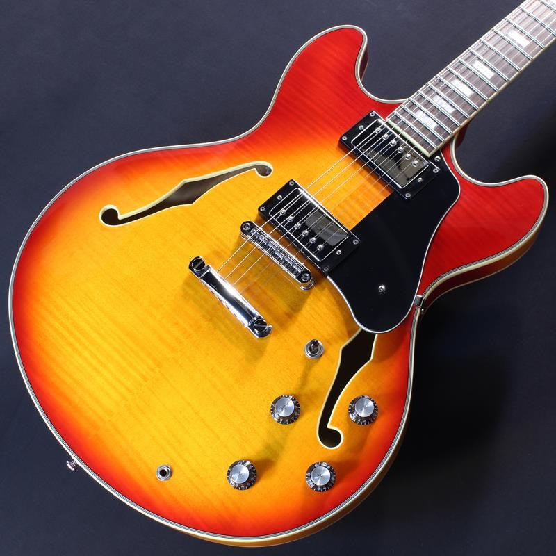 USED_H7_(Cherry_Sunbristled)_03