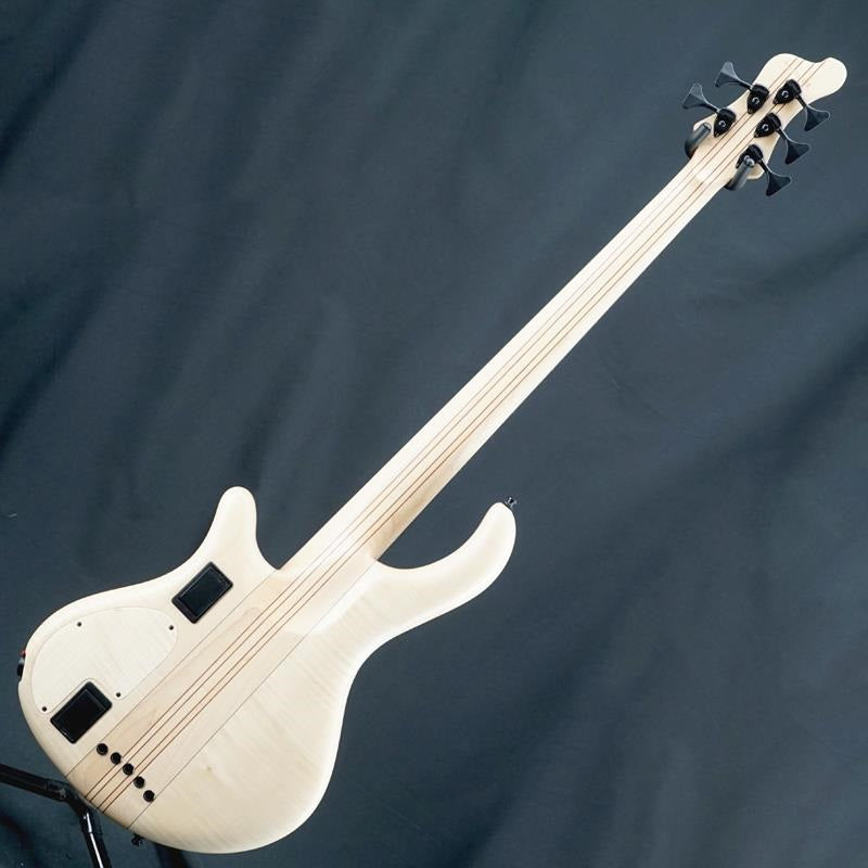 USED_Patriot_MR5_Fretless_Maurizio_Rolli_Signature_04