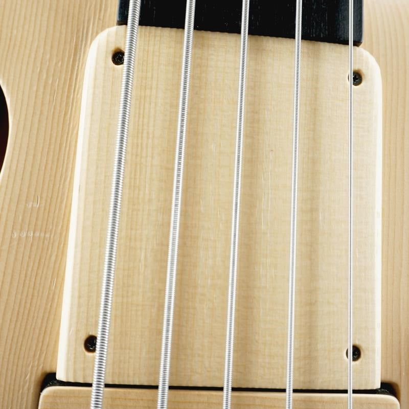 USED_Patriot_MR5_Fretless_Maurizio_Rolli_Signature_09