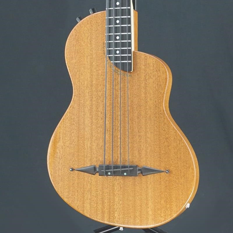 USED_Renaissance_RB4-STD_Fretted_01