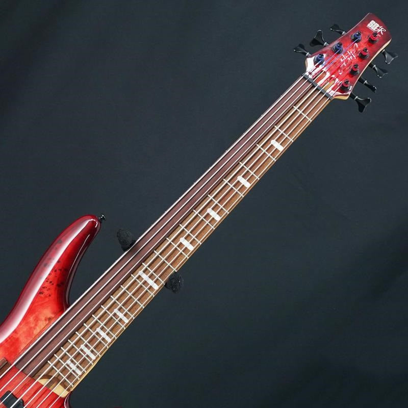 USED_SRAS7-RSG_Ashula_Bass_05