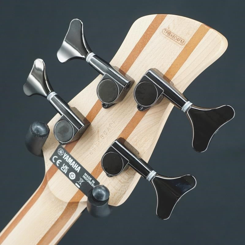 USED_TRBX604FM_(NS)_08