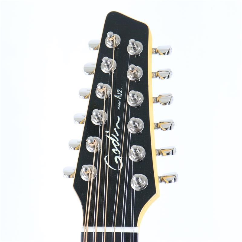 USED_Used_A12_BLK_HG_Godin_05