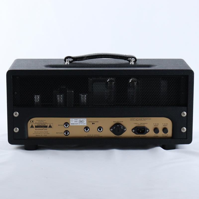 USED_Badger30_Head_05
