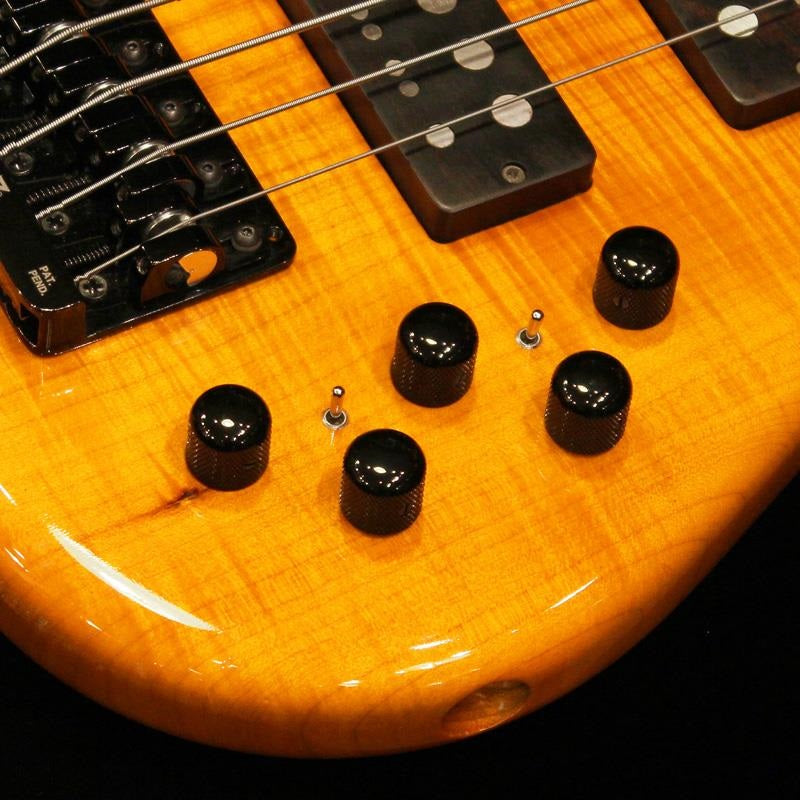 USED_KN5BF-Q_(Figured_Maple_Body___Fretless)_'10_05