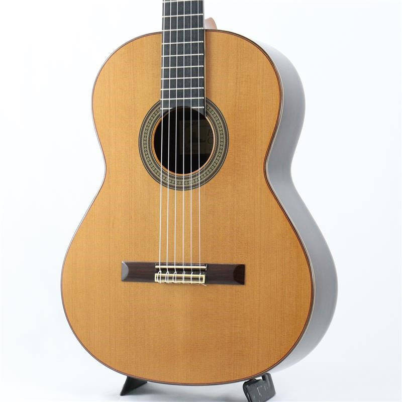 USED_Paco_Castillo_Model_240_01