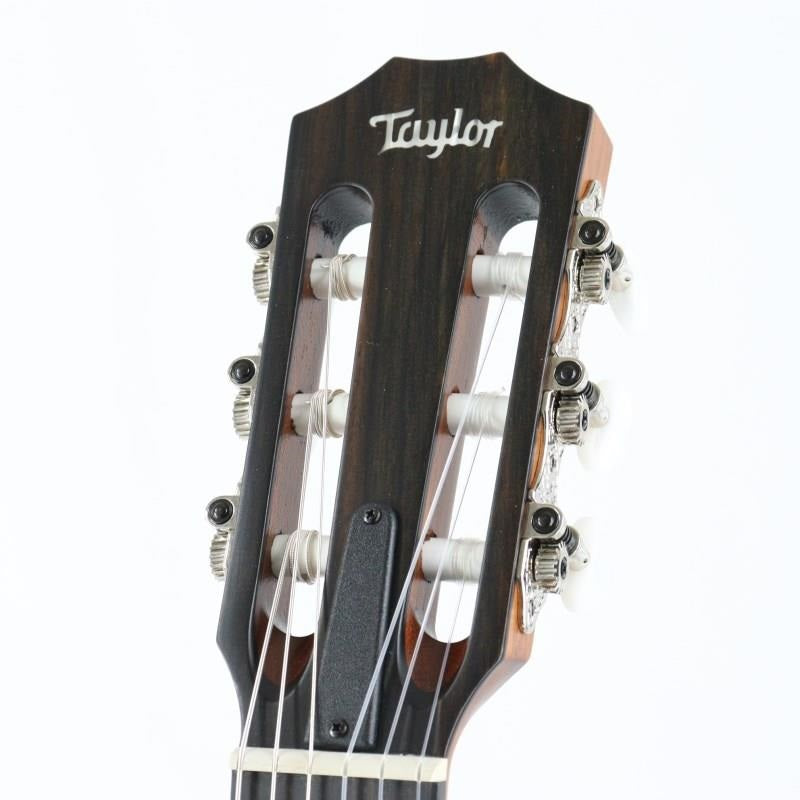 Used_314ce-Nylon__2022_Taylor_05