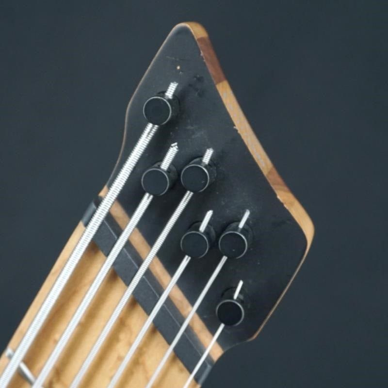 Used_Bass_Workshop_EHB1006MS-MGM_07