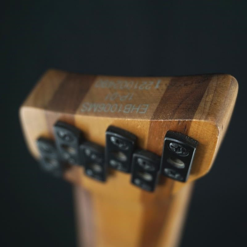 Used_Bass_Workshop_EHB1006MS-MGM_10