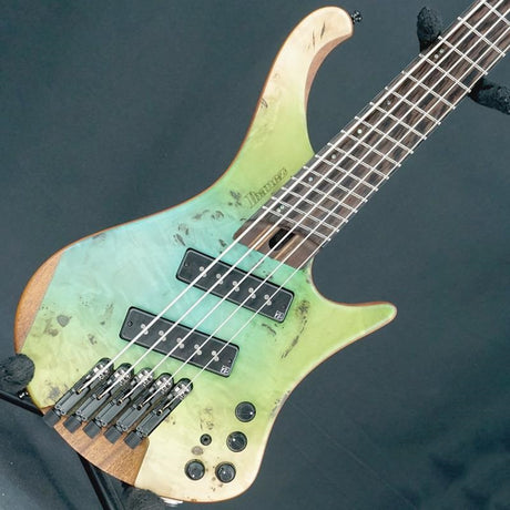 Used_Bass_Workshop_EHB1505MS-OIF_01