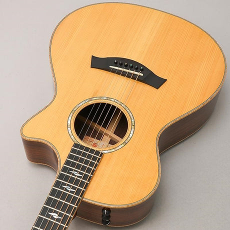 Used_CTM_GCce_Adirondack_Spruce___Indian_Rosewood_Taylor_05