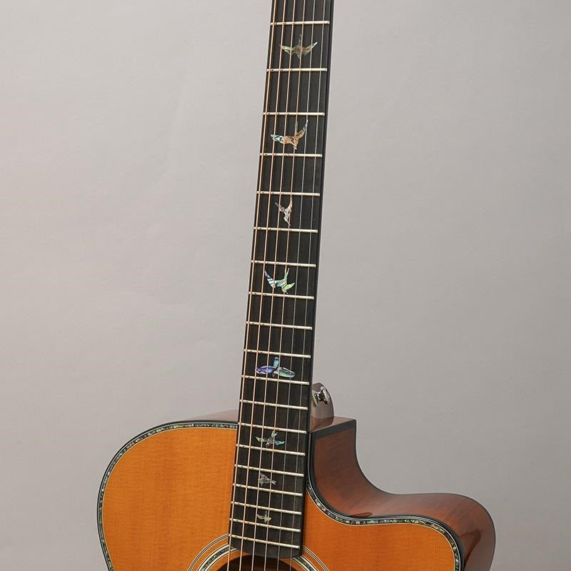 Used_SE_Angelus_A50E_(Nat_Black_Gold_Burst)_Paul_Reed_Smith_07