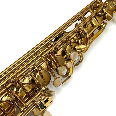 Used_Selmer_SA-80II_Jubilee_GL_Alto_Saxophone,_S_N__741xx5__Ships_after_adjustment_and_setup__Includes_free_key_balance_adjustment_for_5_years__03
